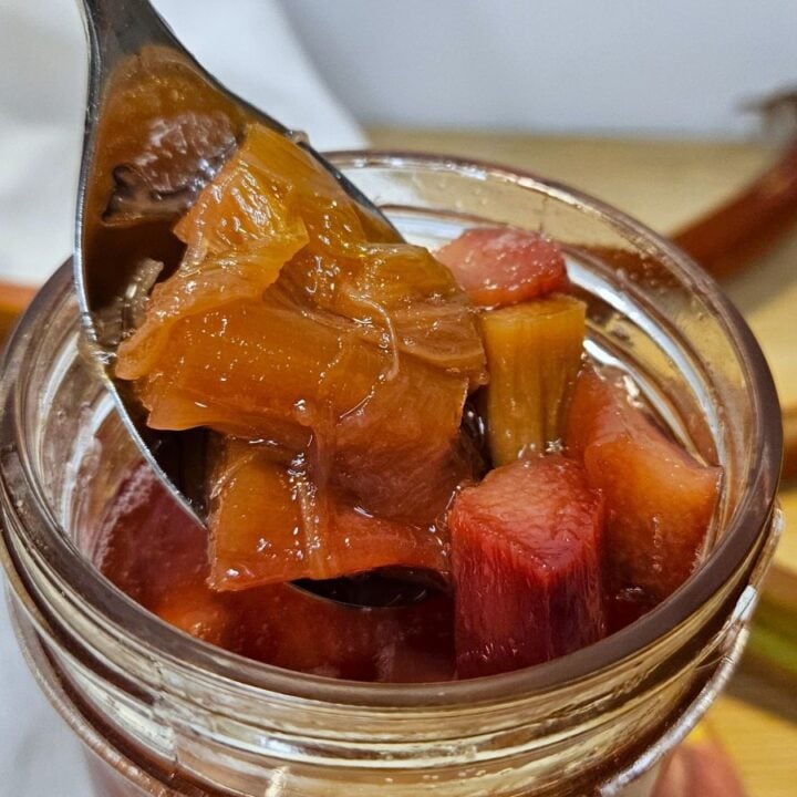 a spoon with rhubarb in syrup