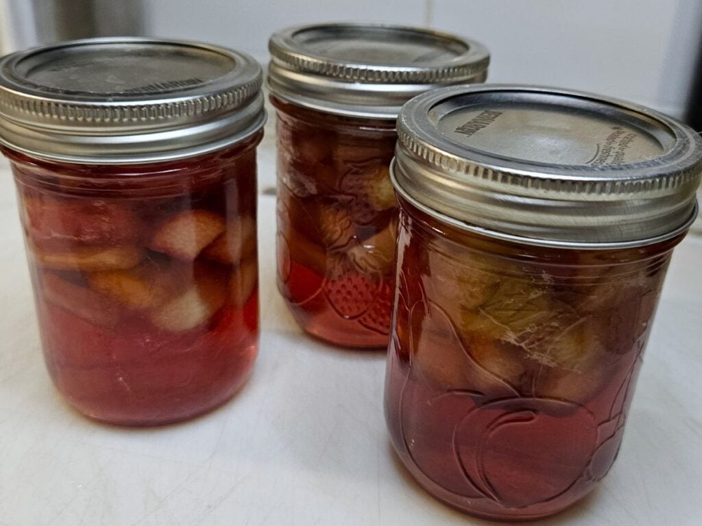 jars of rhubarb in syrup