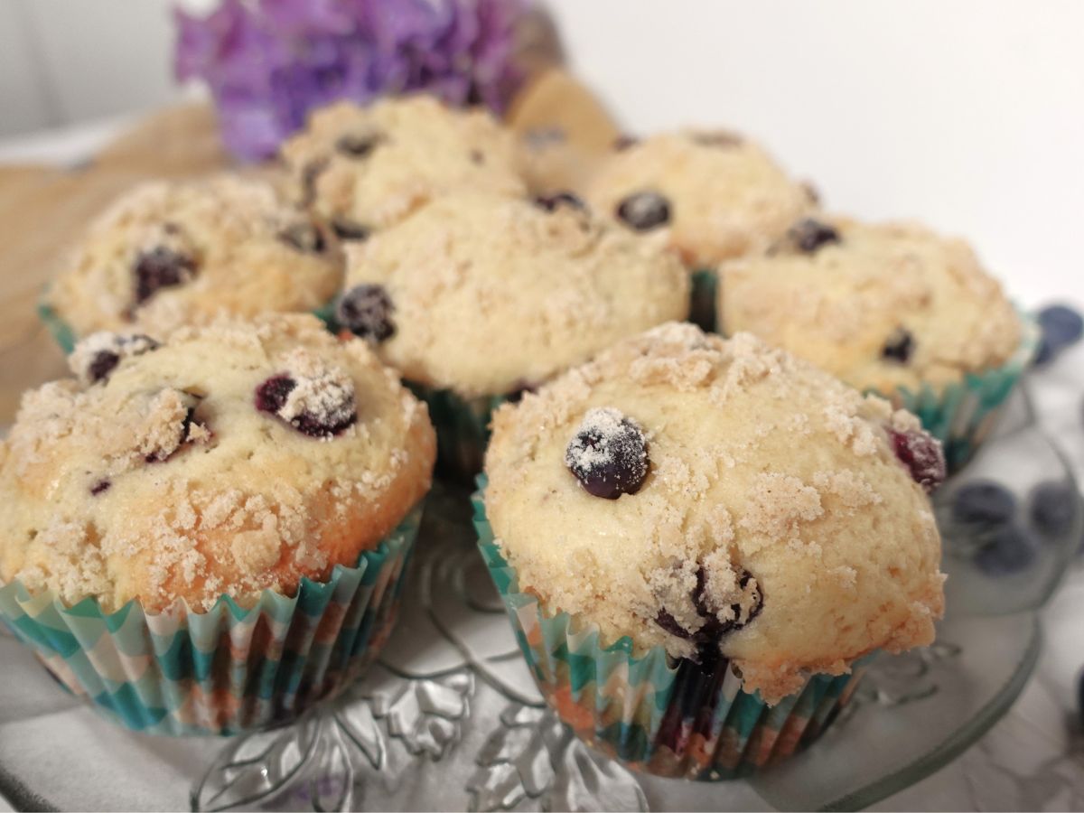 a selection of blueberry muffins on a plate