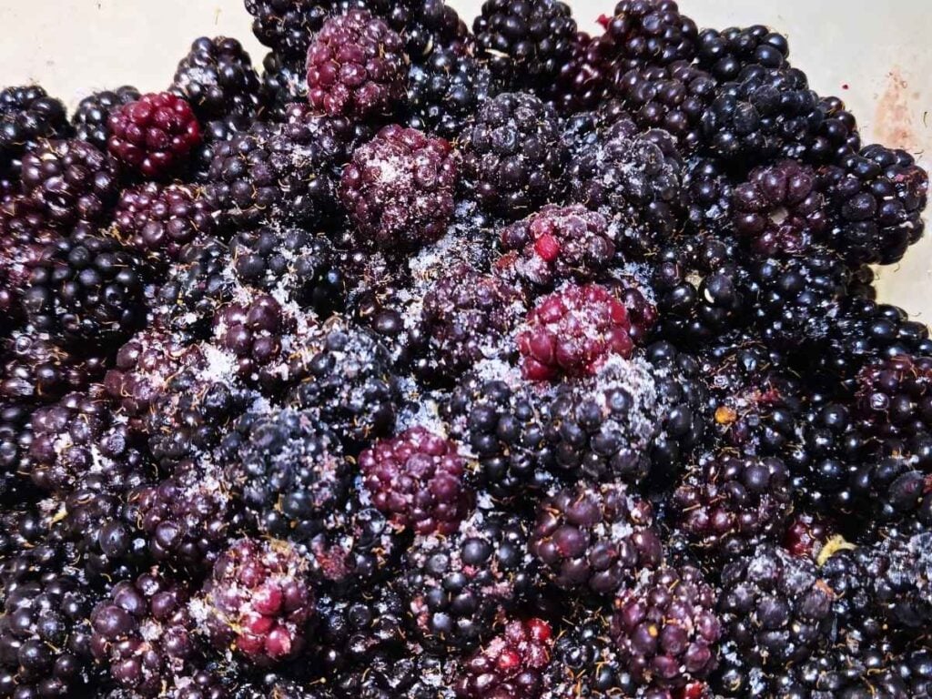 frozen blackberries