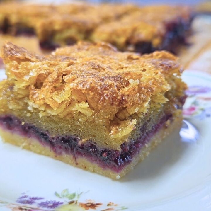 a single blackberry oat square