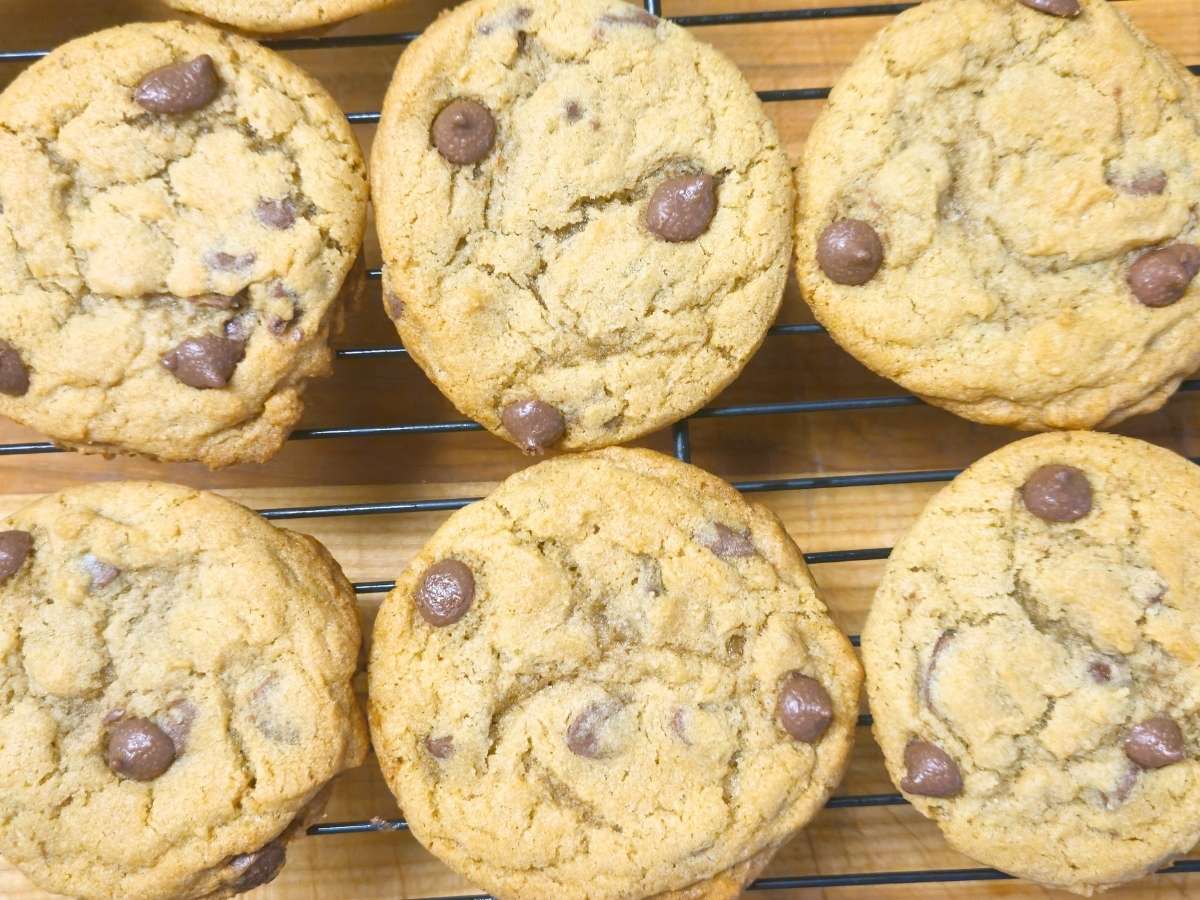 six chocolate chip cookies on a cooling rack