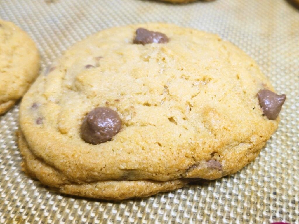 one chocolate chip cookie
